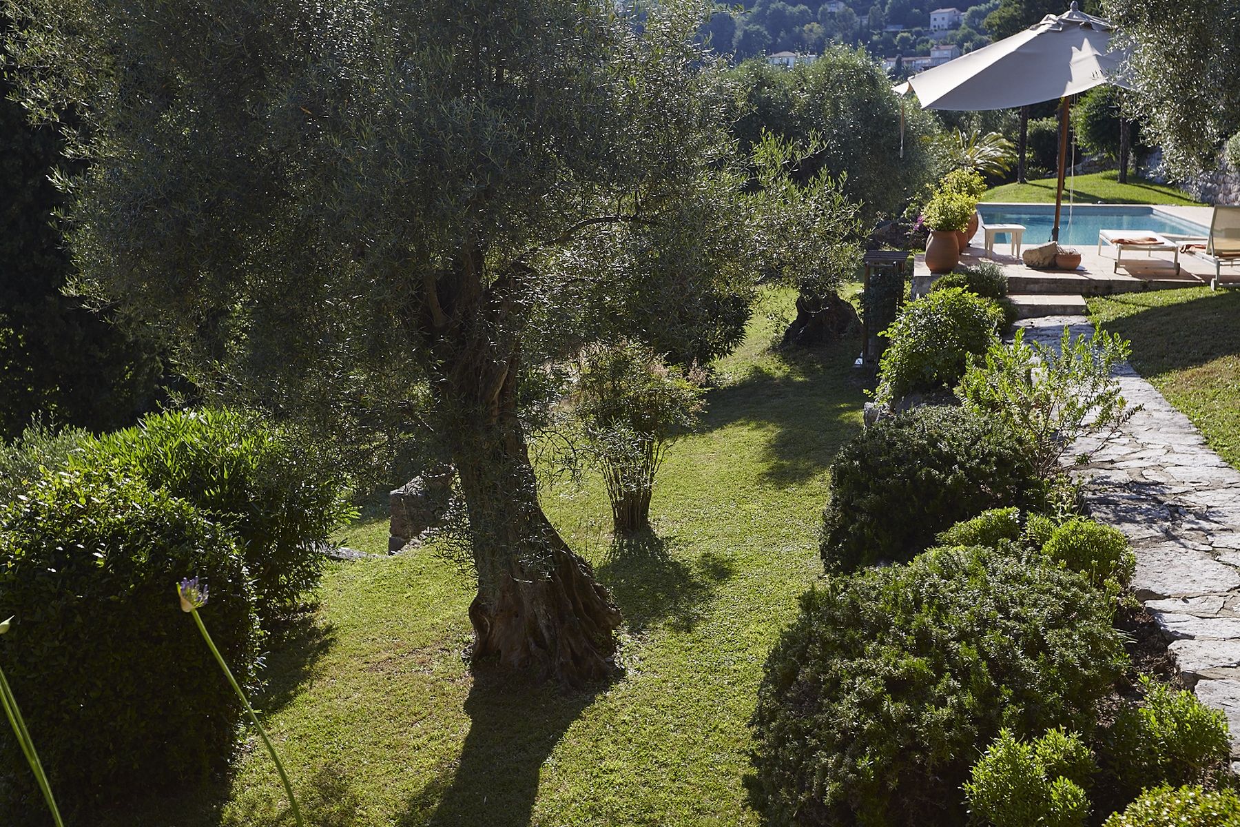 Oliven trees in the garden | Les Amorini French Riviera Luxury Villa rental